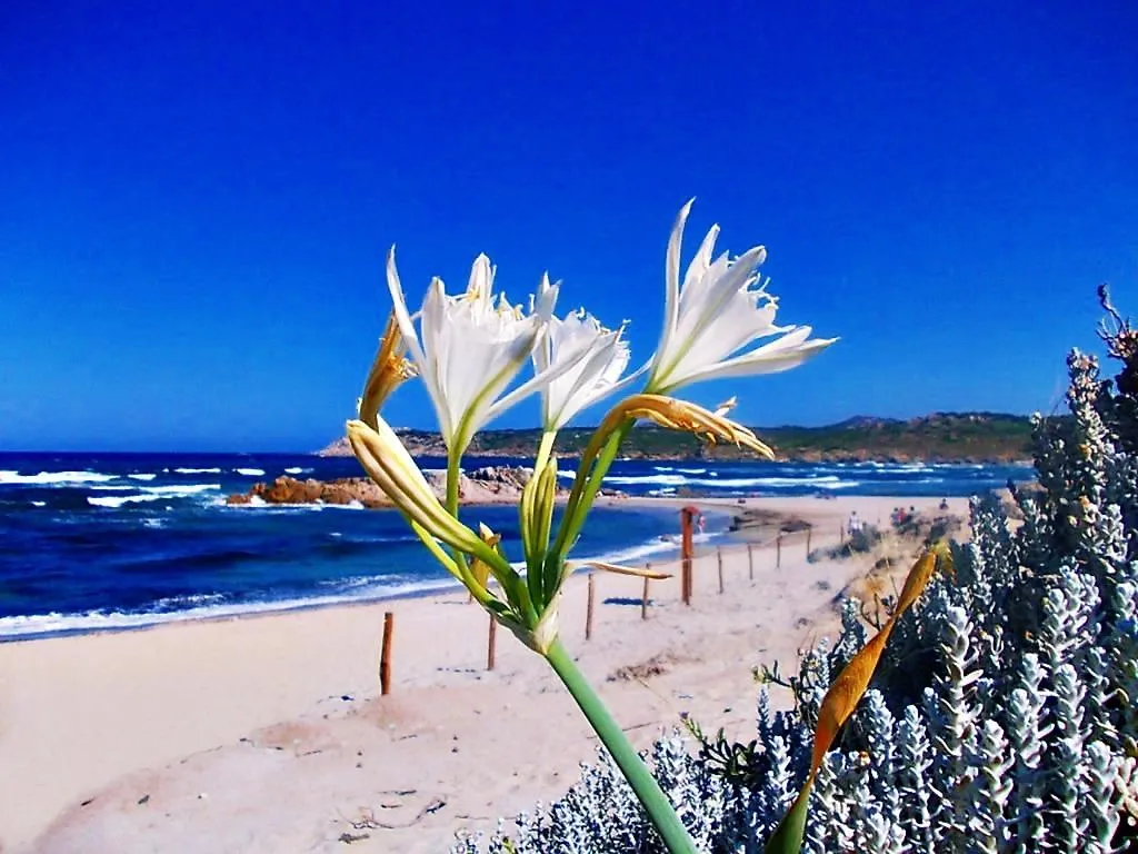 La Liccia - Camping&Village Santa Teresa di Gallura